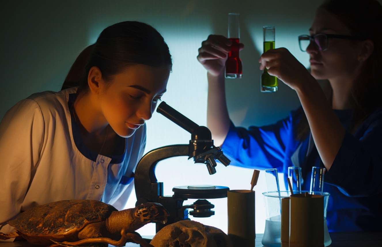 Małopolska Noc Naukowców: Ekscytujące doświadczenia naukowe czekają na pasjonatów wiedzy