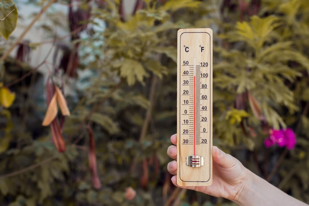 Kraków w dniu 26.08.2025: Słoneczna prognoza z temperaturą 23°C!