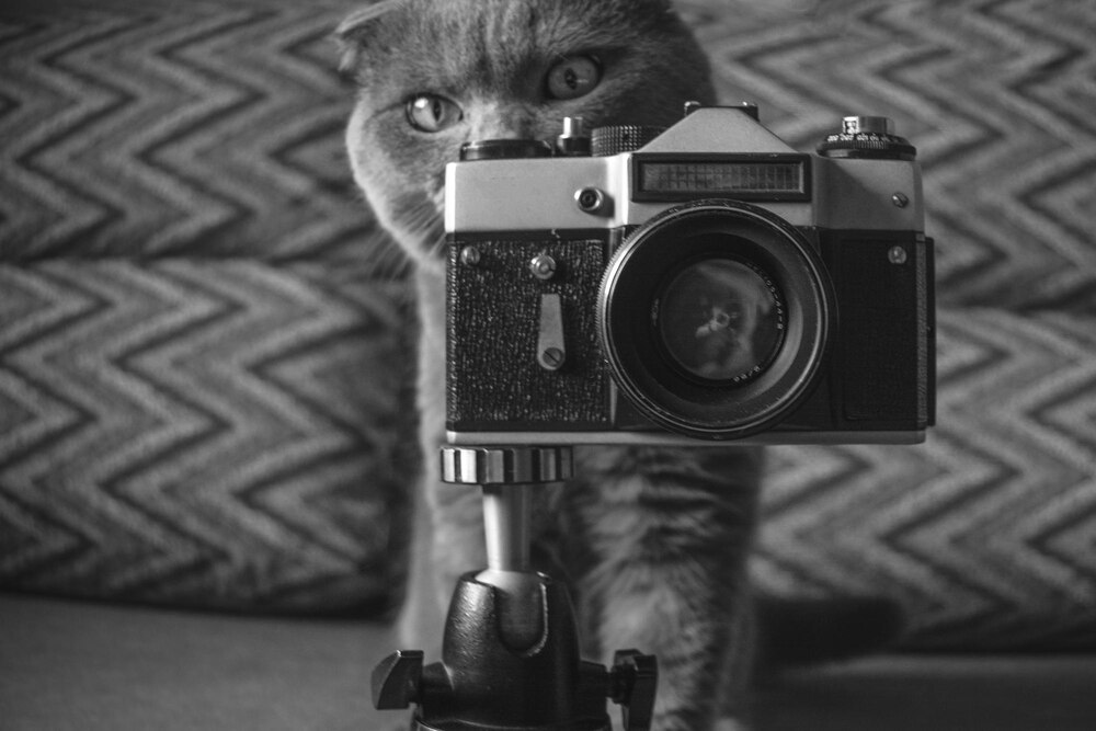 Krakowski Fort Kościuszko zaprasza na niezwykłą wystawę plenerową „Arte et marte”