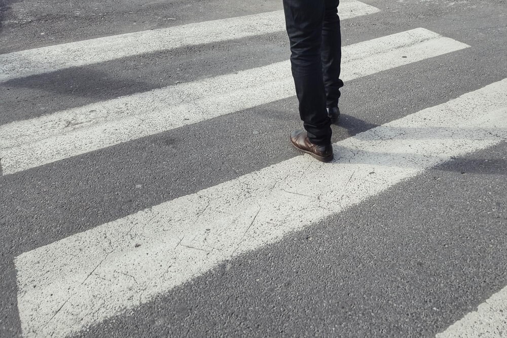 Miechowscy dzielnicowi w akcji: Uratują psa z pobocza!